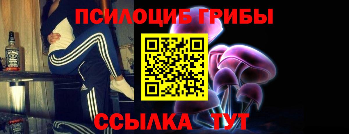 Галлюциногенные грибы Psilocybe Валуйки